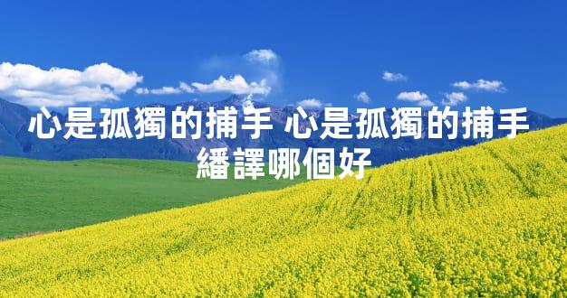 心是孤獨的捕手 心是孤獨的捕手 繙譯哪個好